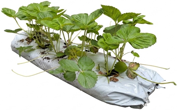 Saco Sustrato de Cultivo Horticolas 28 Litros